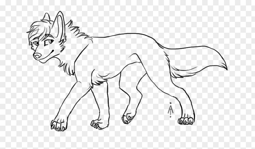 Wolf Cartoon Line Art Lion Drawing Painting Gray PNG