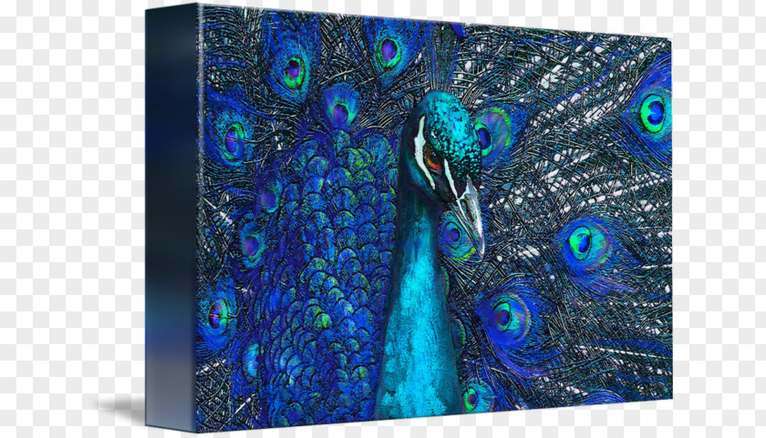 Blue Peacock Digital Art Canvas Print Gallery Wrap PNG
