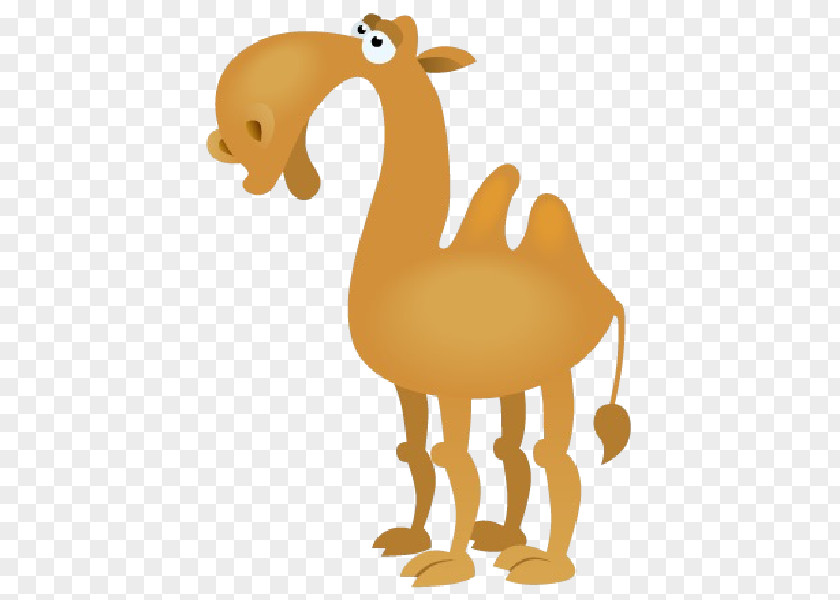Camel Cartoon Bactrian Royalty-free Clip Art PNG