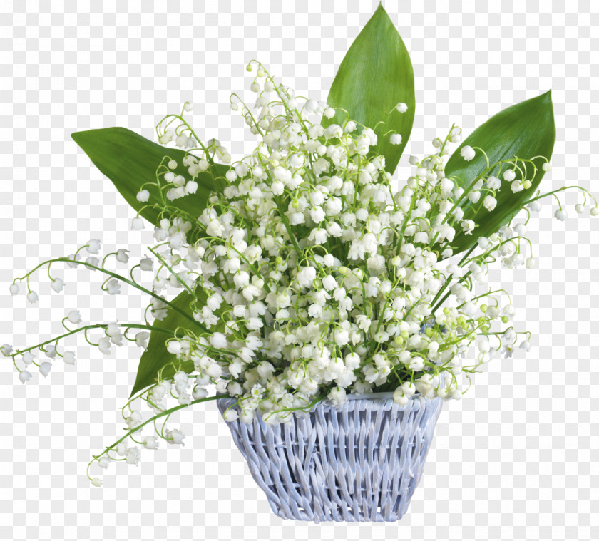 Lily Of The Valley May 1 Party Labour Day PNG