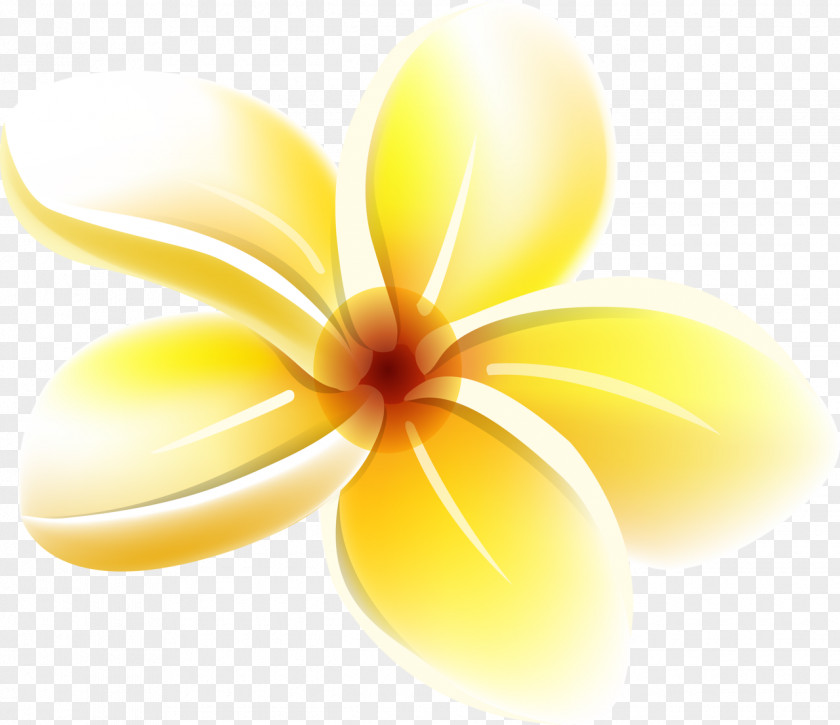 Moana Yellow Flower Clip Art PNG