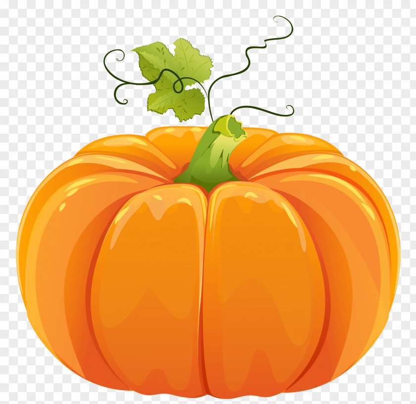 Pumpkin Pie Field Cucurbita Maxima Jack-o'-lantern PNG