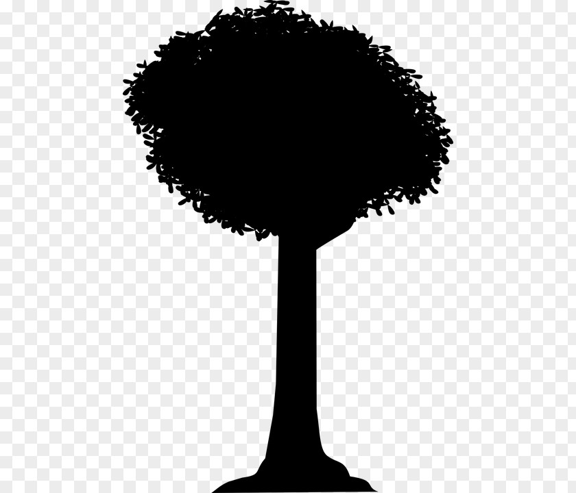 Tree Silhouette Shadow Clip Art PNG