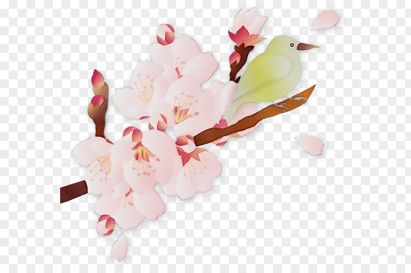 Twig Cut Flowers Cherry Blossom PNG