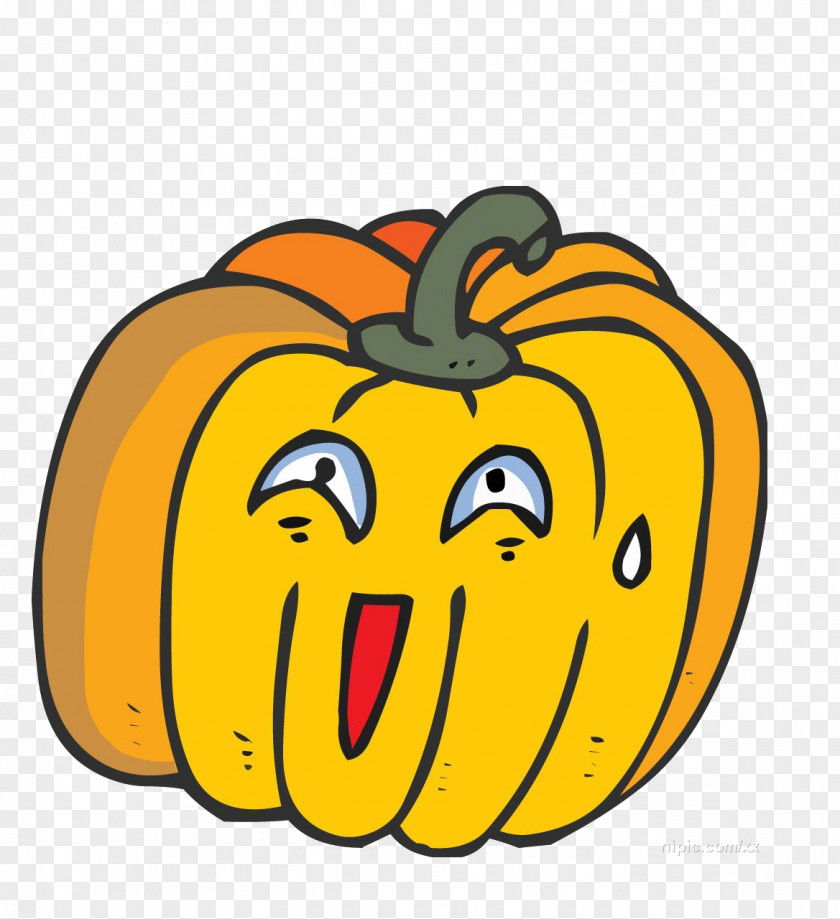 Cartoon Pumpkin Pie PNG