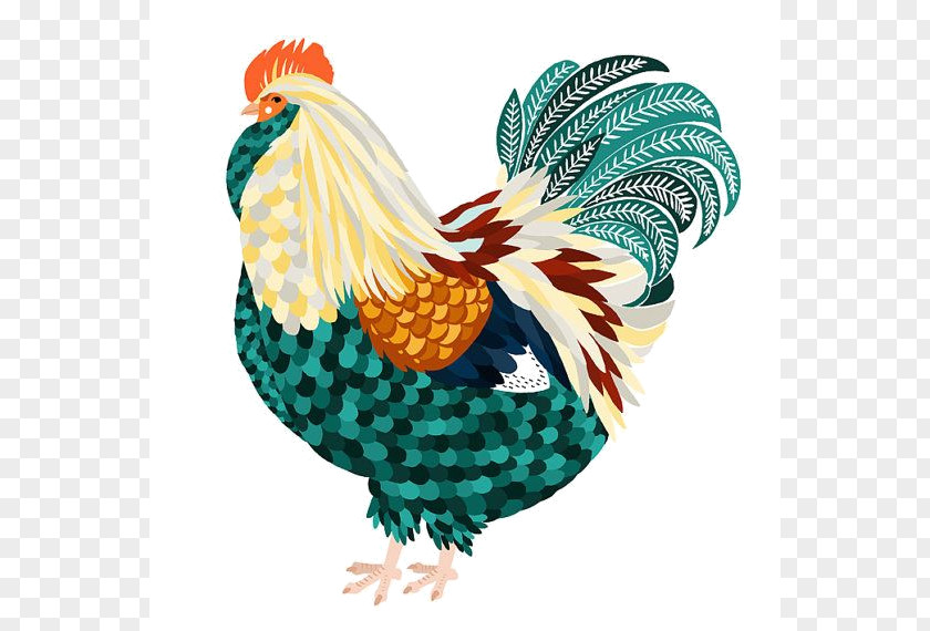 Chicken Rooster Drawing Painting PNG