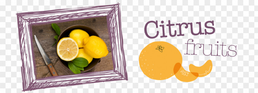 Citrus Fruits Lemon Citric Acid IPage Font PNG