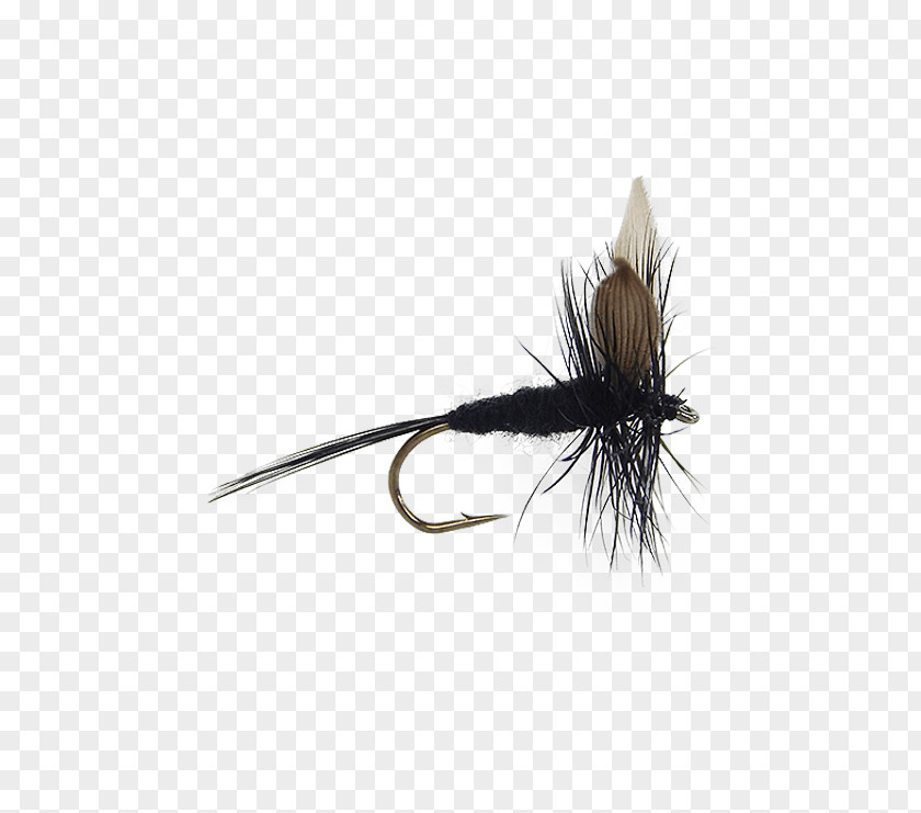 Fly Artificial Nymph Insect Fishing PNG