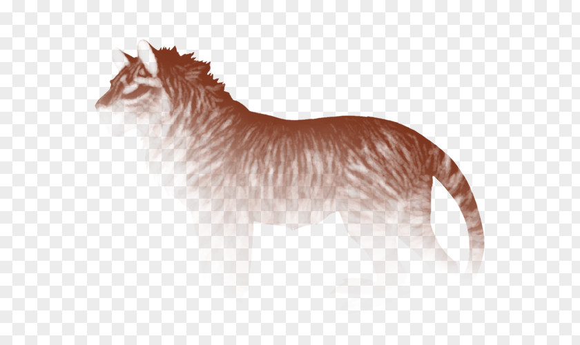 Henna Cat Dog Felidae Lion Whiskers PNG