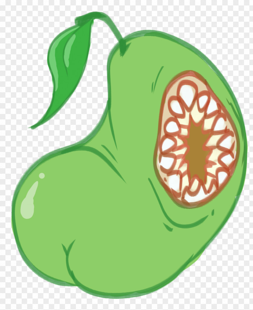 Pear Cucurbita Apple Clip Art PNG