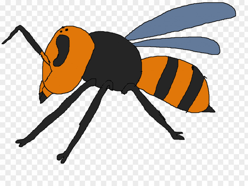 Sparrow Insect Honey Bee Animal Arthropod PNG