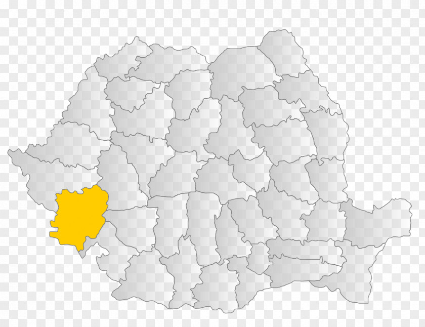 Transylvania Wallachia Bucharest Moldavia Kingdom Of Romania PNG