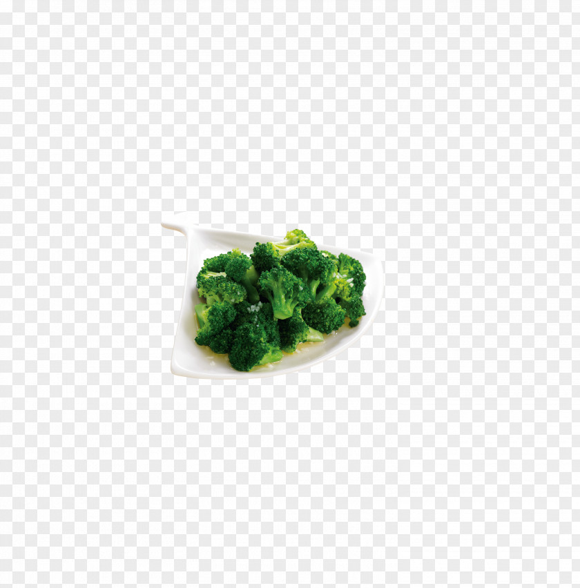 Broccoli Green Pattern PNG