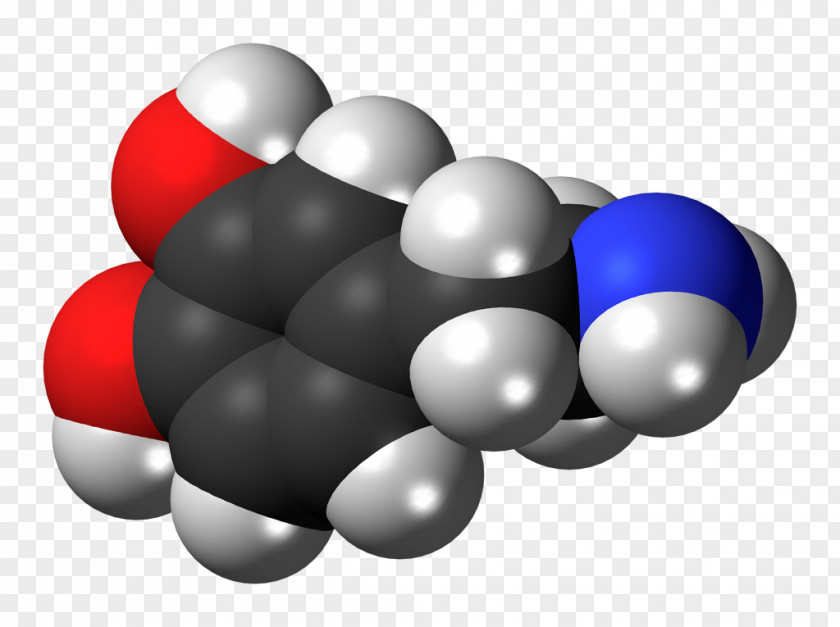 Dopamine Space-filling Model Neurotransmitter Molecule Molecular PNG