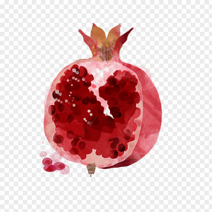 Hand-painted Pomegranate Watercolor Painting Drawing Fruit Illustration PNG