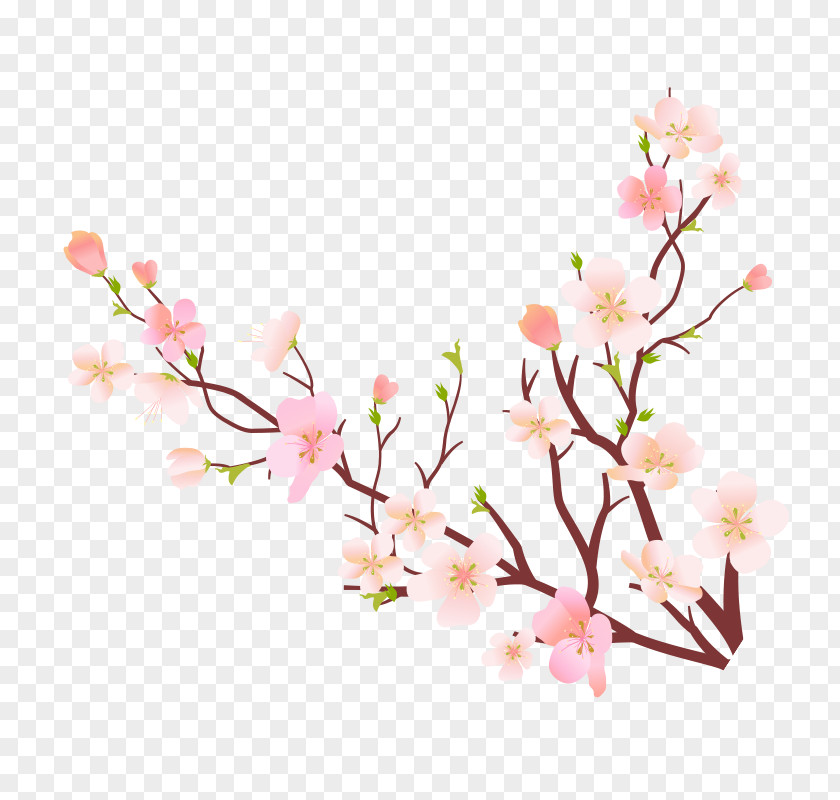 Peach Blossom Image Design Poster Pixel PNG