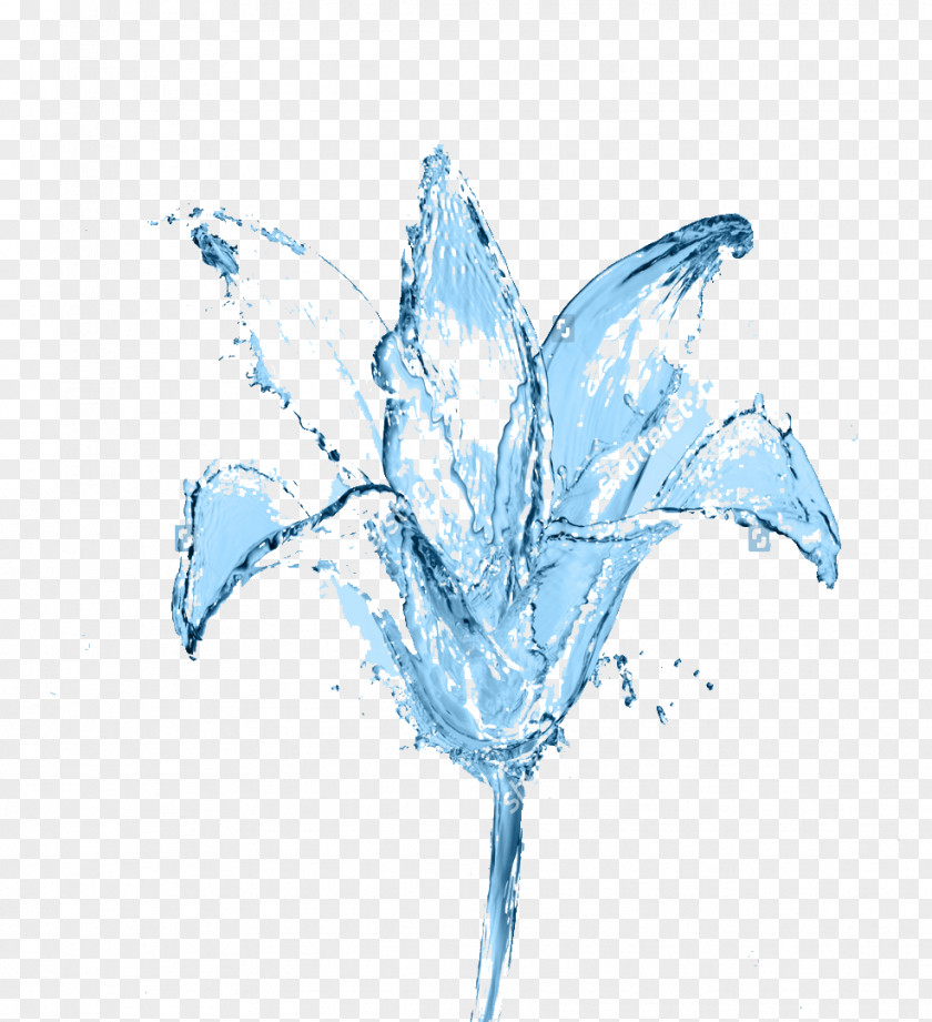 Water Flower Inner Peace Fototapet Sky Blue PNG