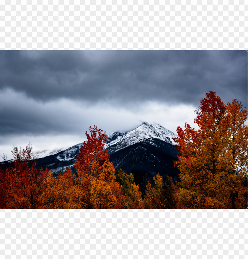 Autumn Leaf Color Landscape Photography Nature PNG