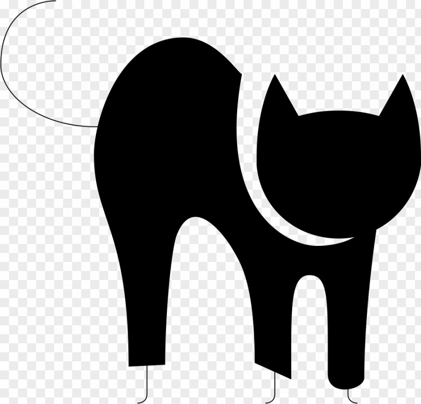 Cat Whiskers Elephantidae Clip Art PNG