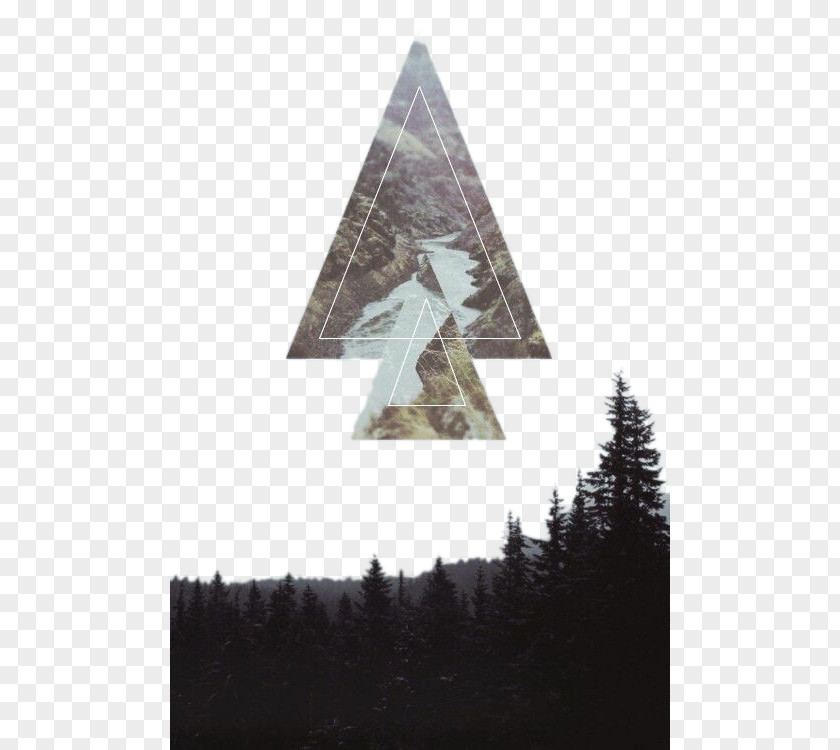 Forest Triangular Pattern Graphic Design Photography Illustration PNG