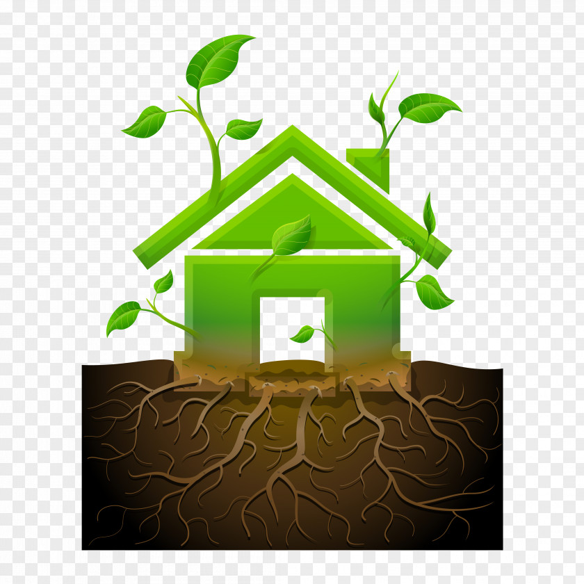 Green Home Creative Cartoon House Root Illustration PNG