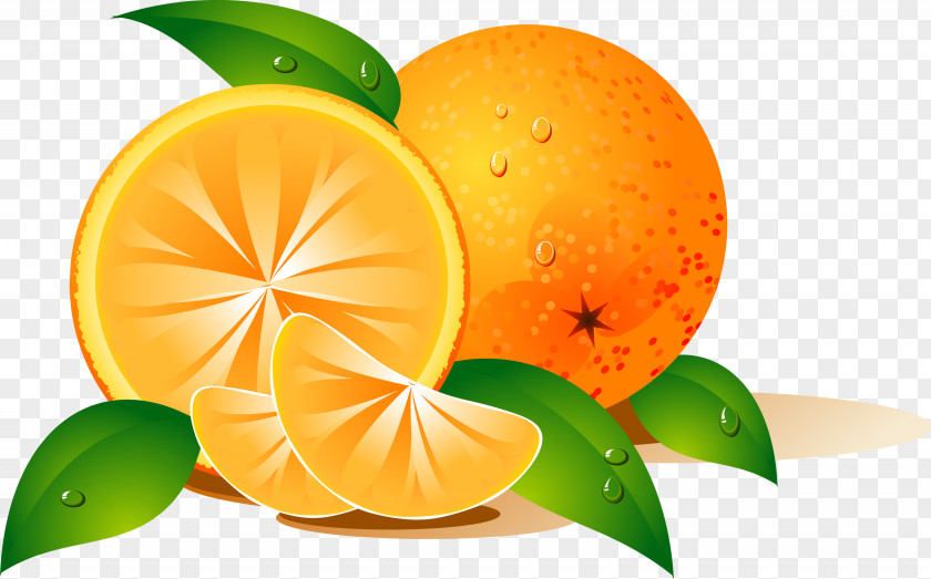 Orange Desktop Wallpaper Fruit Clip Art PNG