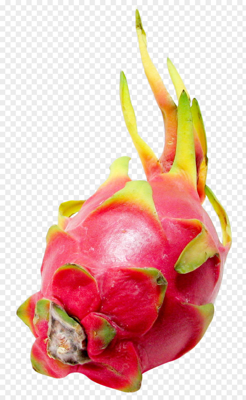 Pitaya Or Dragon Fruit Juice PNG