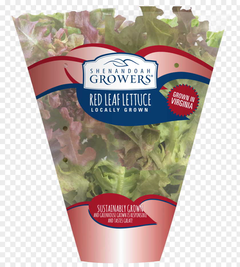 Salad Leaf Vegetable Lettuce Crisp Shenandoah Growers Inc. PNG