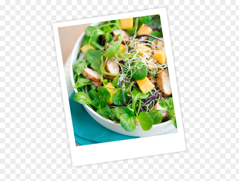 Salad Vegetarian Cuisine Vinaigrette Recipe Pesto PNG