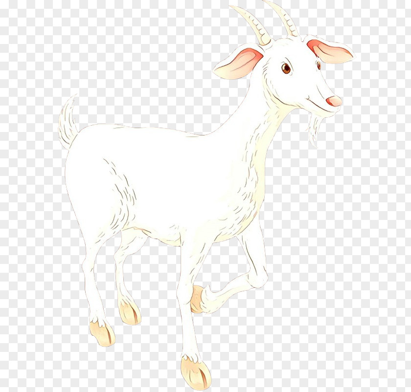 Sheep Goat Cattle Antelope Mammal PNG