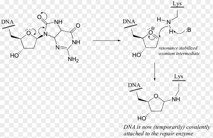 Art Of Writing Reasonable Organic Reaction Mechani Francium Atom Diagram Technology PNG