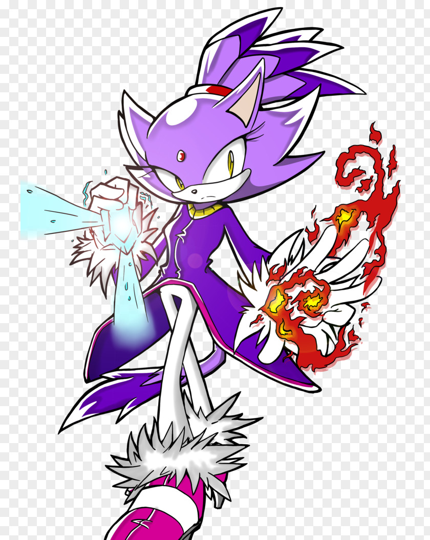 Blaze The Cat Drawing PNG