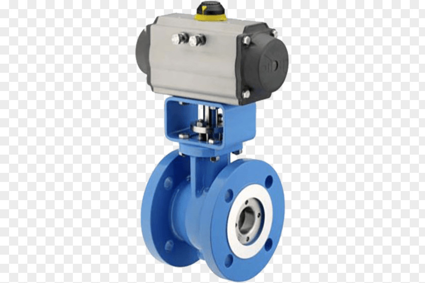 Control Valves Instrumentation Actuator Samson AG PNG