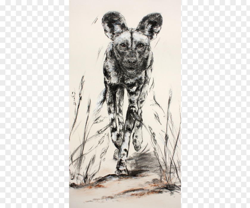 Dog Visual Arts Cat Drawing Sketch PNG