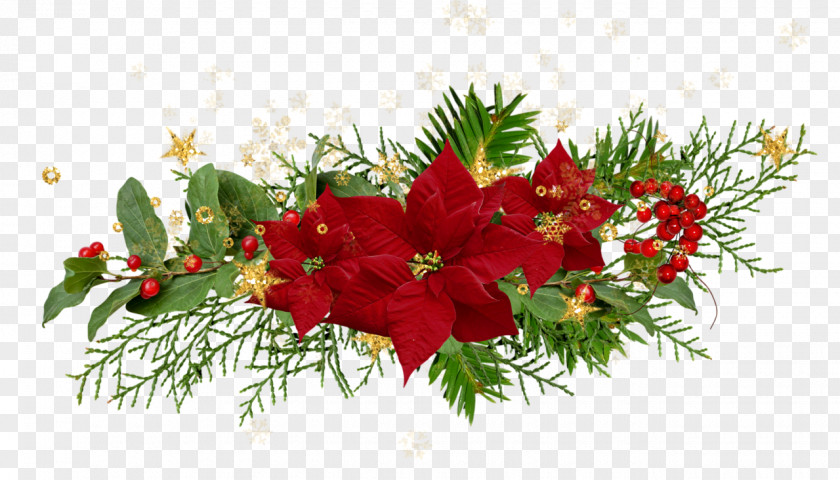 Flower Clip Art Christmas Crafts Poinsettia Day Decoration PNG