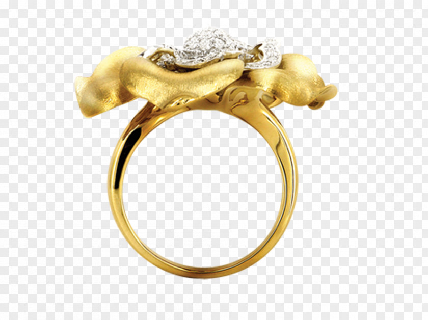 Gold Ring Earring U9996u98fe Designer PNG