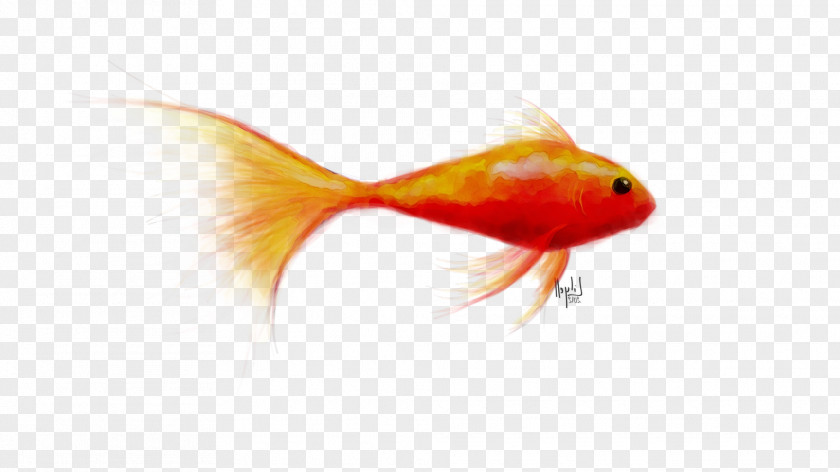 Goldfish Feeder Fish RED.M PNG