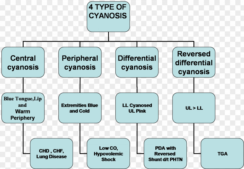 Heart Beat Cyanosis Lip Pallor Hemoglobin Diagram PNG