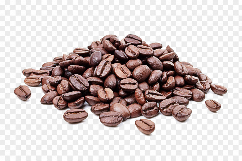 Ingredient Caffeine Food Bean Cocoa Java Coffee Jamaican Blue Mountain PNG