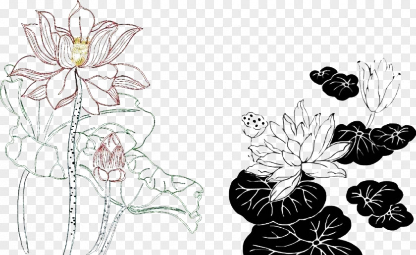 Lotus Decorative Map Black And White Nelumbo Nucifera Ink Wash Painting PNG