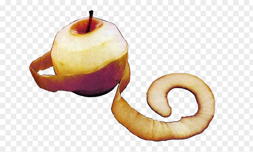 Painted Apple Drawing PNG