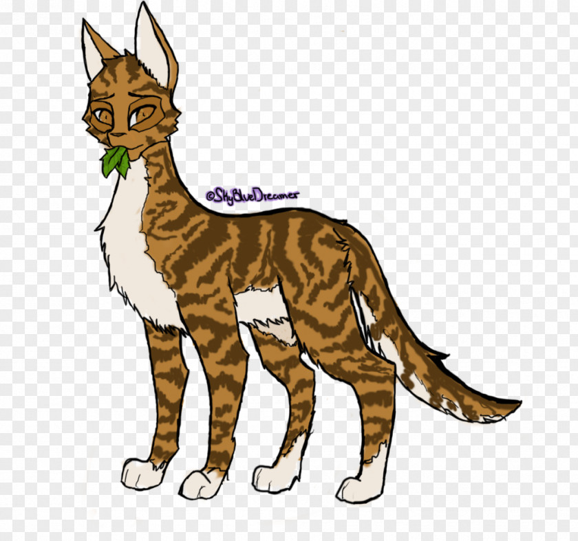 Cat Whiskers Wildcat Warriors Drawing PNG