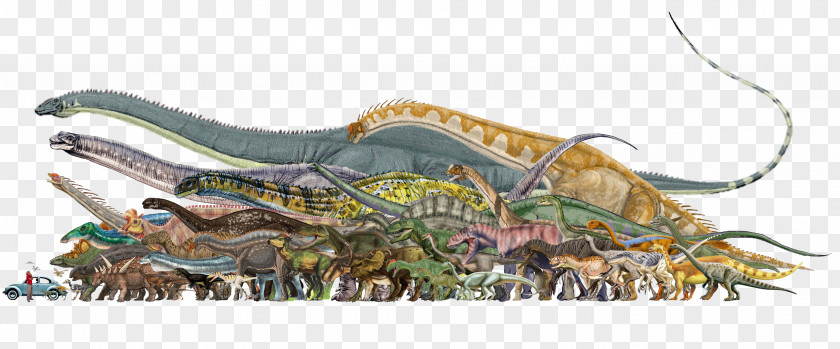 Dinosaur Tyrannosaurus Reptile Stegosaurus Megalosaurus PNG