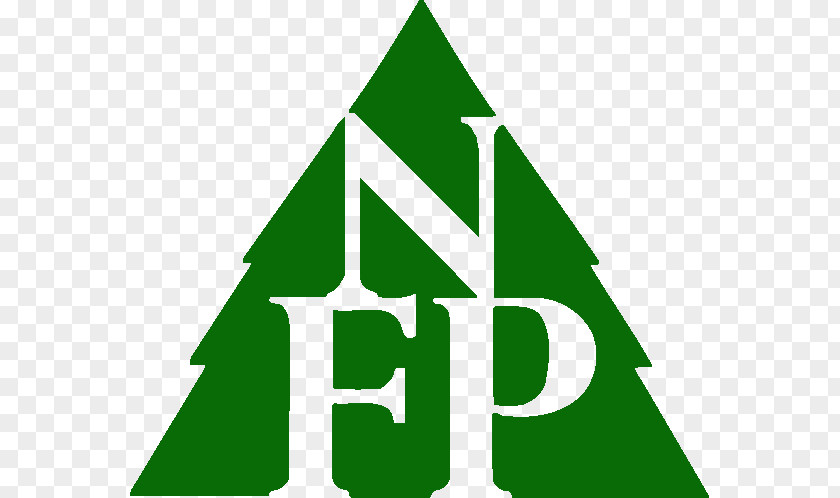Logo Clip Art Brand Leaf Cedar Forest PNG