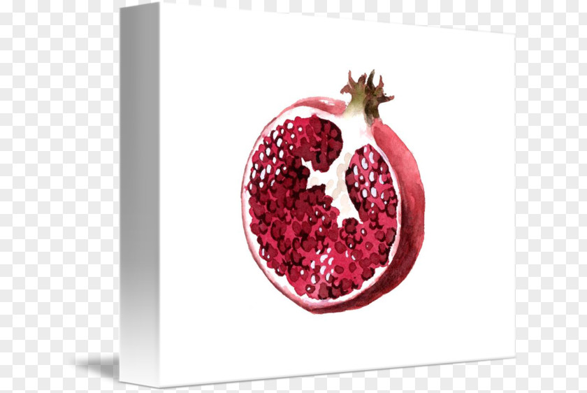 Pomegranate Juice Food Fine Art Painting PNG