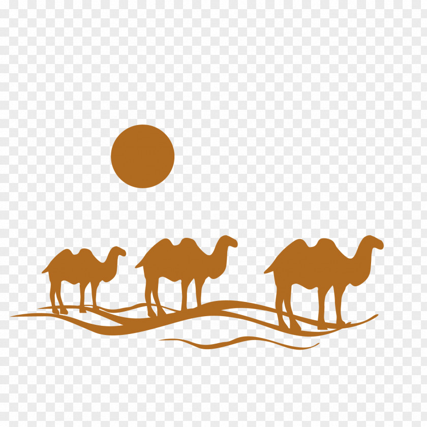 Vector Camel Flight Travel Agent Logo PNG