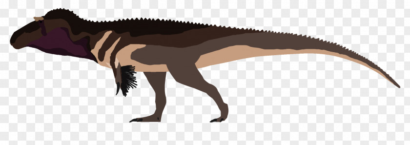 Fine Feathers Torvosaurus Tyrannosaurus Acrocanthosaurus Yutyrannus Australovenator PNG