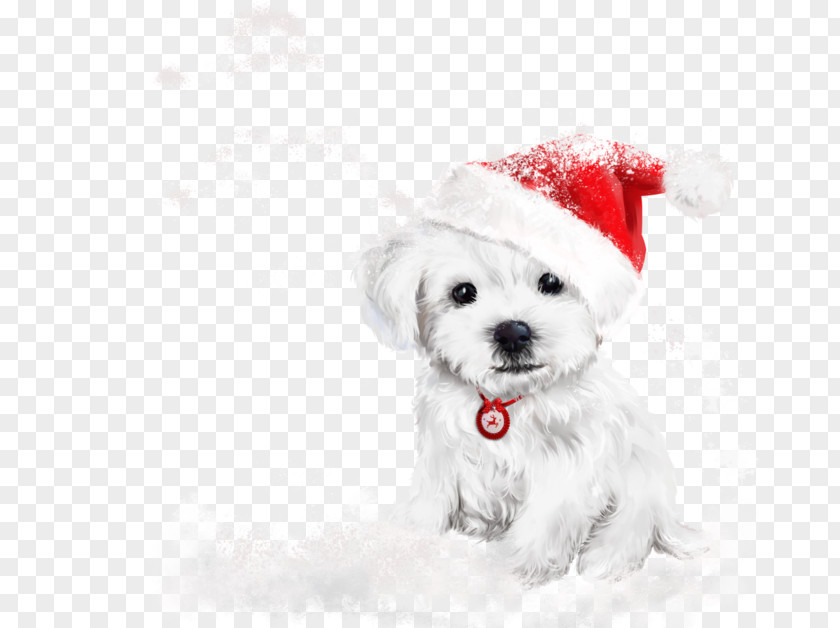 Puppy Labrador Retriever Kitten Christmas Painting PNG