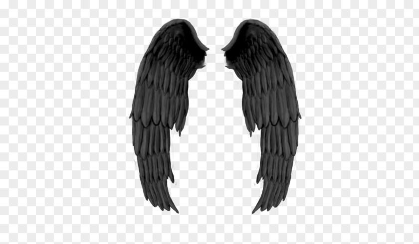 Angel And Demon Clip Art Devil Image PNG