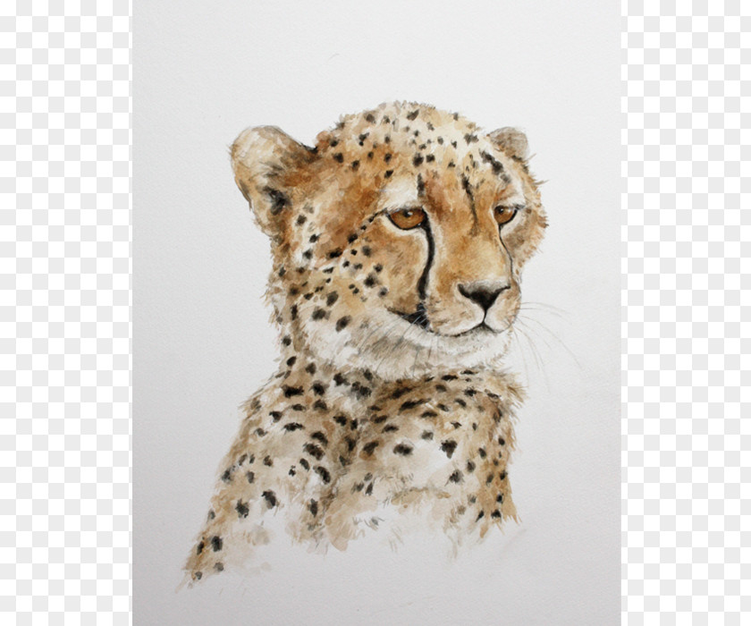 Cheetah Leopard African Wild Dog Cat Lion PNG